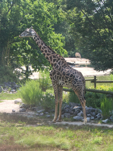 Zoo «Virginia Zoological Park», reviews and photos, 3500 Granby St, Norfolk, VA 23504, USA