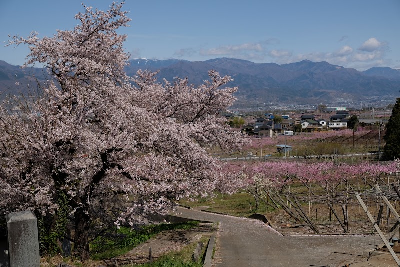 躰性寺