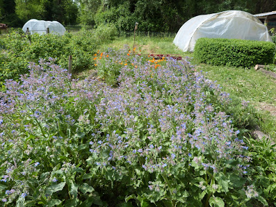 Valyherba 615 route de Bonlieu Quartier les, Bourrides, 26160 Saint-Gervais-sur-Roubion, France