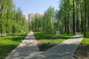 Lipovyy Park image