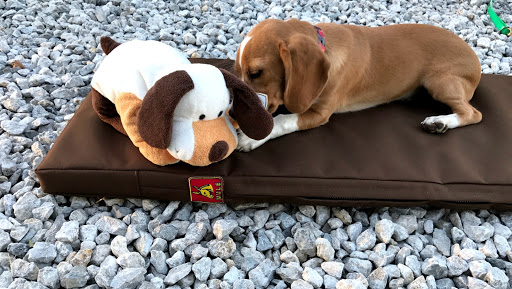 Mule Hunting Clothes Inc