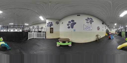 Dog Day Care Center «Pet Me Scratch Me», reviews and photos, 2551 E Main St, Onalaska, WI 54650, USA