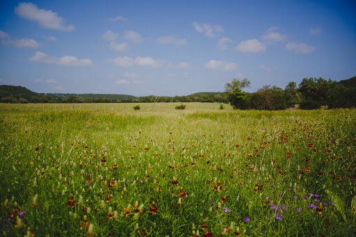 Wedding Venue «THE SPRINGS Event Venue», reviews and photos, 420 Upper Cibolo Creek Rd, Boerne, TX 78006, USA