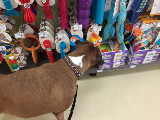 Pet Supply Store «Petco Animal Supplies», reviews and photos, 15660 SW Pacific Hwy, Tigard, OR 97224, USA