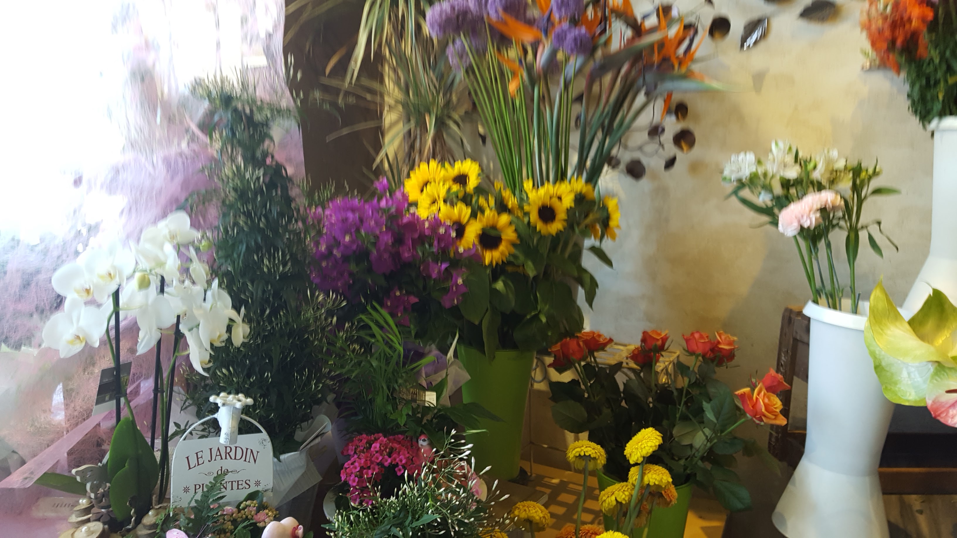 Photo n° 4 de l'avis de Philippe.R fait le 25/05/2017 à 10:20