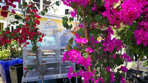 Grocery Store «Diamond Fresh Farmers Market», reviews and photos, 21168 Golden Springs Dr, Walnut, CA 91789, USA