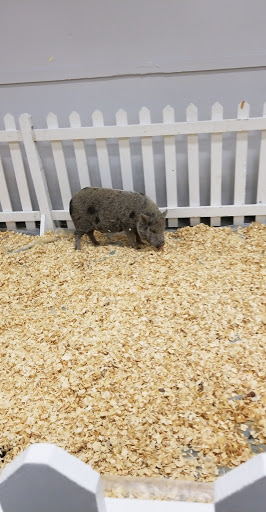 Event Venue «Event Center», reviews and photos, 1202 E 38th St, Indianapolis, IN 46205, USA