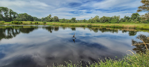 Golf Club «Jekyll Island Golf Club», reviews and photos, 322 Captain Wylly Rd, Jekyll Island, GA 31527, USA