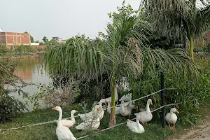 Belatali Park, Hardoi image