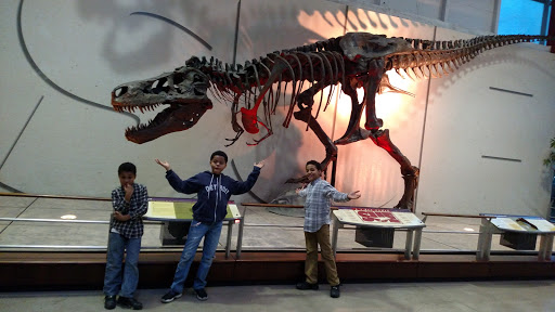 Movie Theater «Chrysler IMAX® Dome Theatre at the Michigan Science Center», reviews and photos, 5020 John R St, Detroit, MI 48202, USA