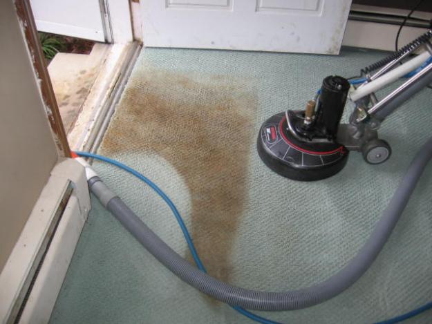 Carpet Cleaner Richardson TX