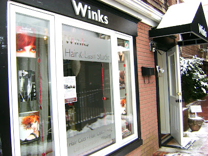 Winks Hair & Lash Studio