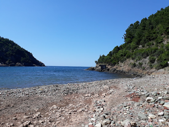 Akkonak Koyu Plaji