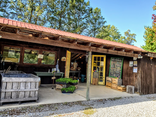 Farm «Manoff Market Gardens», reviews and photos, 3157 Comfort Rd, Solebury, PA 18963, USA