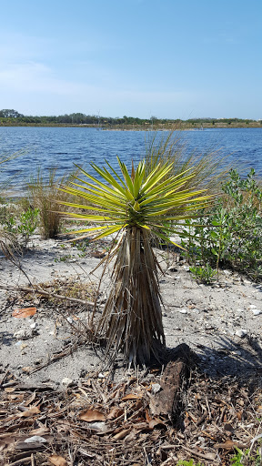 Nature Preserve «Perico Preserve», reviews and photos, 11700 Manatee Ave W, Bradenton, FL 34209, USA