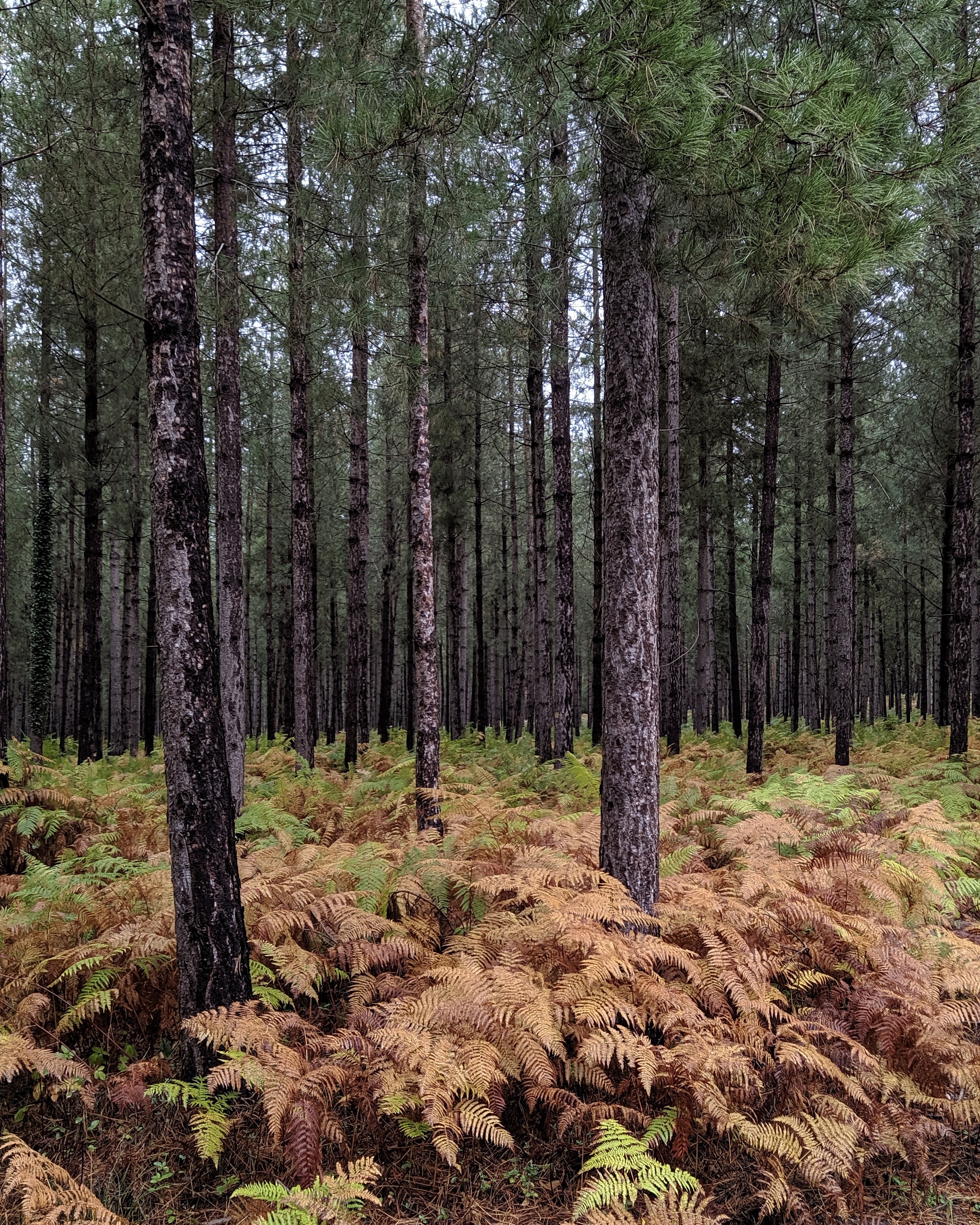 Photo n° 7 de l'avis de Frederic.e fait le 03/10/2019 à 18:30