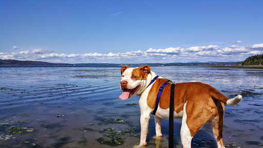 State Park «Dash Point State Park», reviews and photos, 5700 SW Dash Point Rd, Federal Way, WA 98023, USA