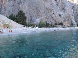 Saint George Bay'in fotoğrafı vahşi alan