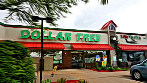 Dollar Store «Dollar Tree», reviews and photos, 2900 Rice St #200, Little Canada, MN 55113, USA