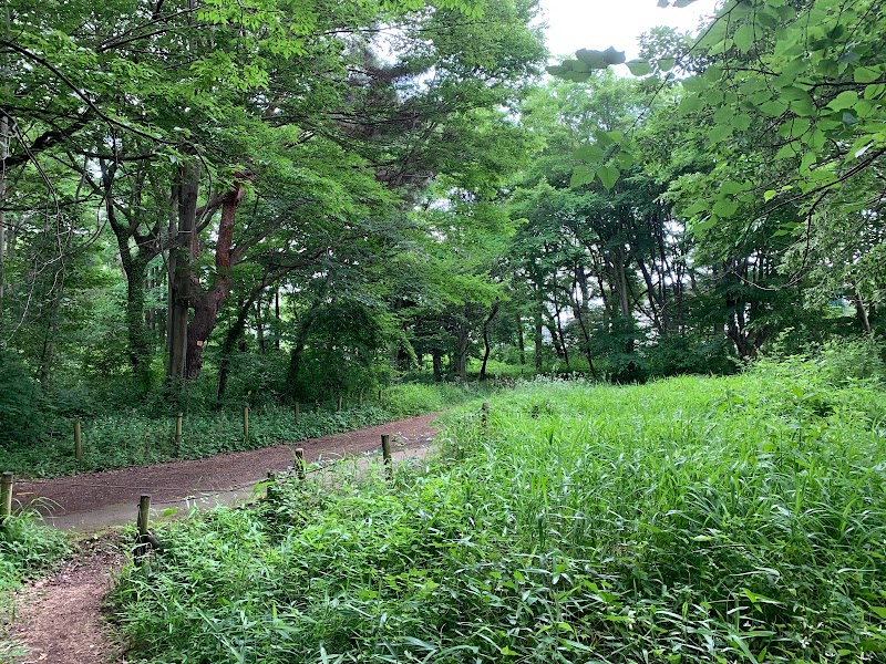 清瀬松山緑地保全地域(清瀬10景)