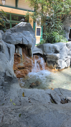 Garden «Mystic Falls Park», reviews and photos, 5111 Boulder Hwy, Las Vegas, NV 89122, USA