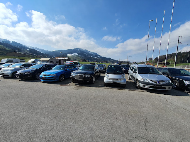 Rezensionen über AAA Autohandel Grossu in Einsiedeln - Autohändler