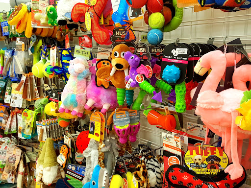 Department Store «Marshalls», reviews and photos, 211 Gloucester Crossing Rd, Gloucester, MA 01930, USA