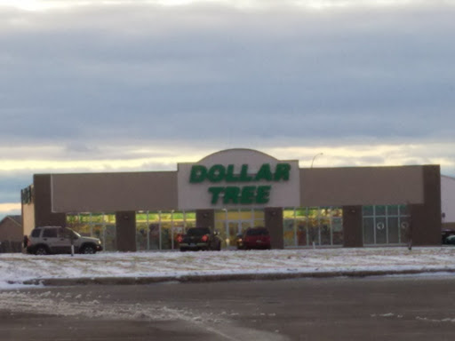 Dollar Store «Dollar Tree», reviews and photos, 601 34th St N, Dilworth, MN 56529, USA