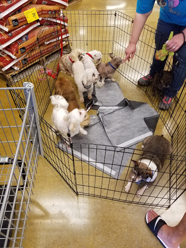 Pet Supply Store «PetSmart», reviews and photos, 8281 Troy Pike, Huber Heights, OH 45424, USA
