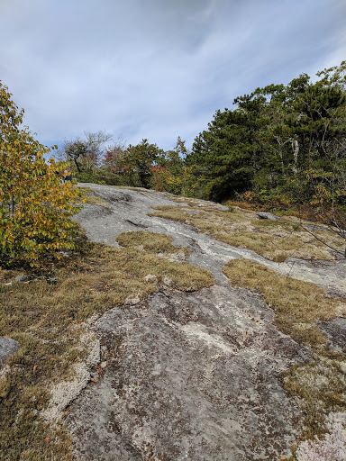 Golf Club «Linville Land Harbor Golf Club», reviews and photos, 1665 Goose Hollow Rd, Linville, NC 28646, USA