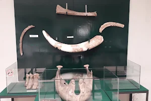 Museum of Man Tepexpan image