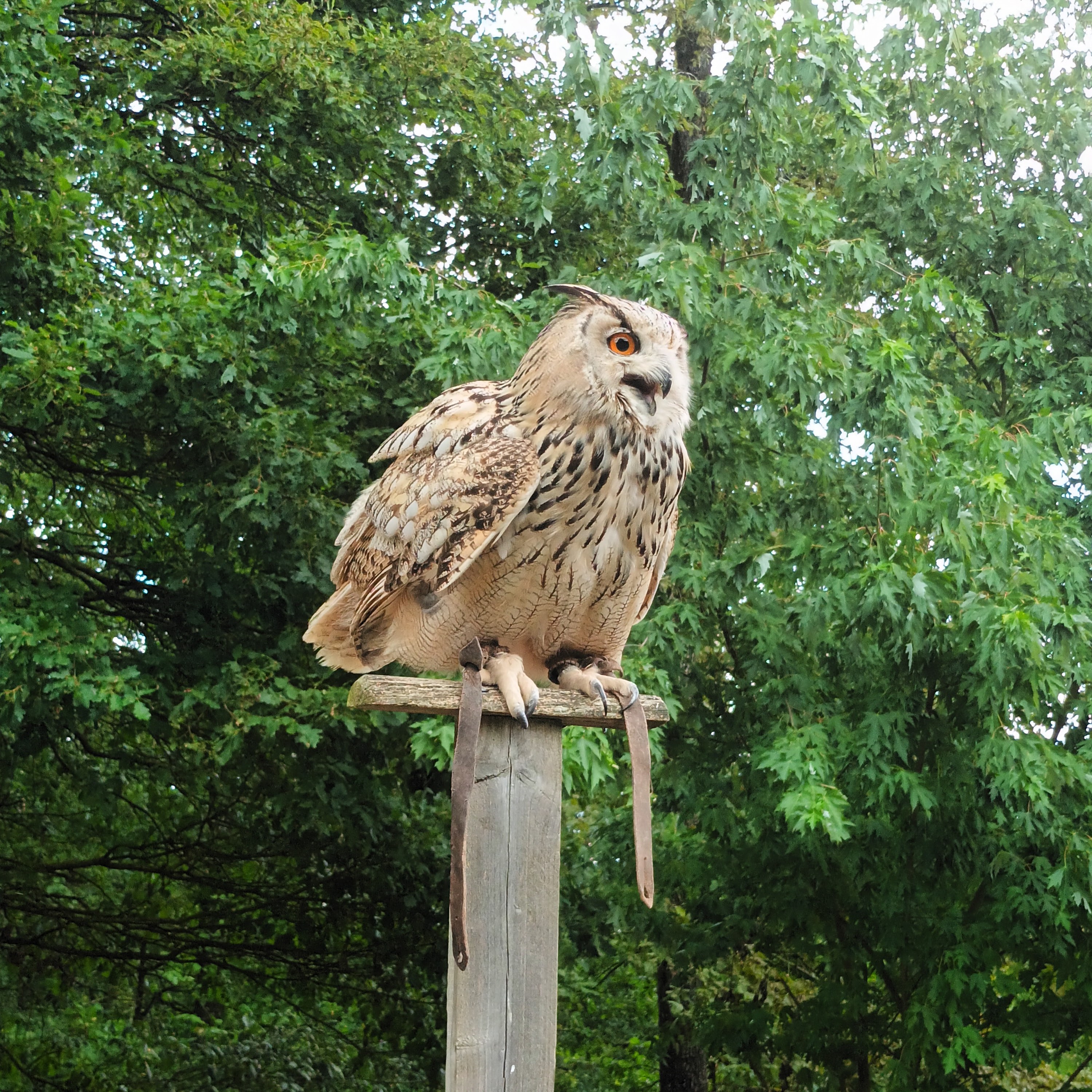 Photo n° 8 de l'avis de Jean.u fait le 20/07/2023 à 15:55