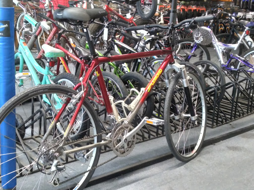 Bicycle Store «Bikes Limited», reviews and photos, 1001 La Crosse St, La Crosse, WI 54601, USA