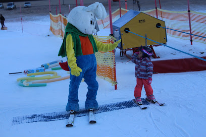 Ecole Suisse de Ski & Snowboard Les Diablerets - Moillen, Werro et Associés