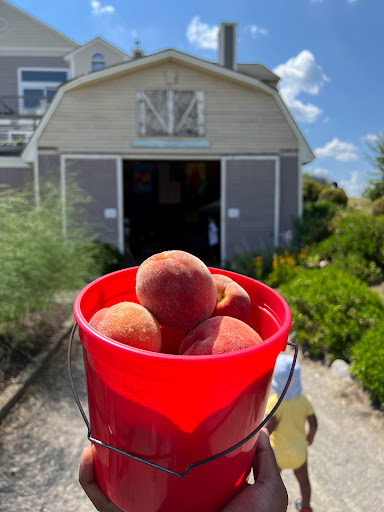 Orchard «George Hill Orchards», reviews and photos, 582 George Hill Rd, South Lancaster, MA 01561, USA