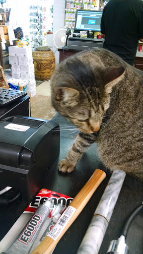 Home Improvement Store «East Bay True Value Hardware», reviews and photos, 18 Society St, Charleston, SC 29401, USA