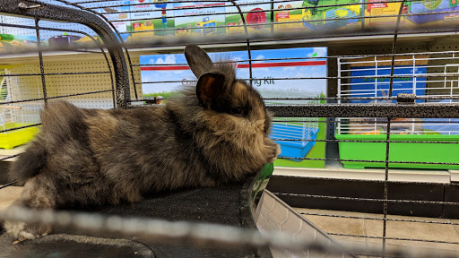 Pet Supply Store «Living Things», reviews and photos, 3437 PA-309, Orefield, PA 18069, USA