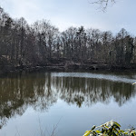 Photo n°1 de l'avis de Heiko.i fait le 04/03/2024 à 10:22 sur le  Zum Grünen See Eck à Mühlheim am Main