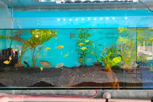 Shree Balaji Enterprises And Fish Aquarium image