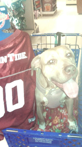 Pet Supply Store «PetSmart», reviews and photos, 3780 Riverchase Village #300, Hoover, AL 35244, USA