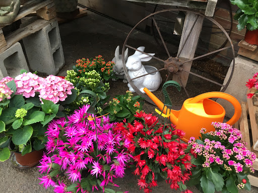 Plant Nursery «Sturtz & Copeland Florist & Greenhouses», reviews and photos, 2851 Valmont Rd, Boulder, CO 80301, USA