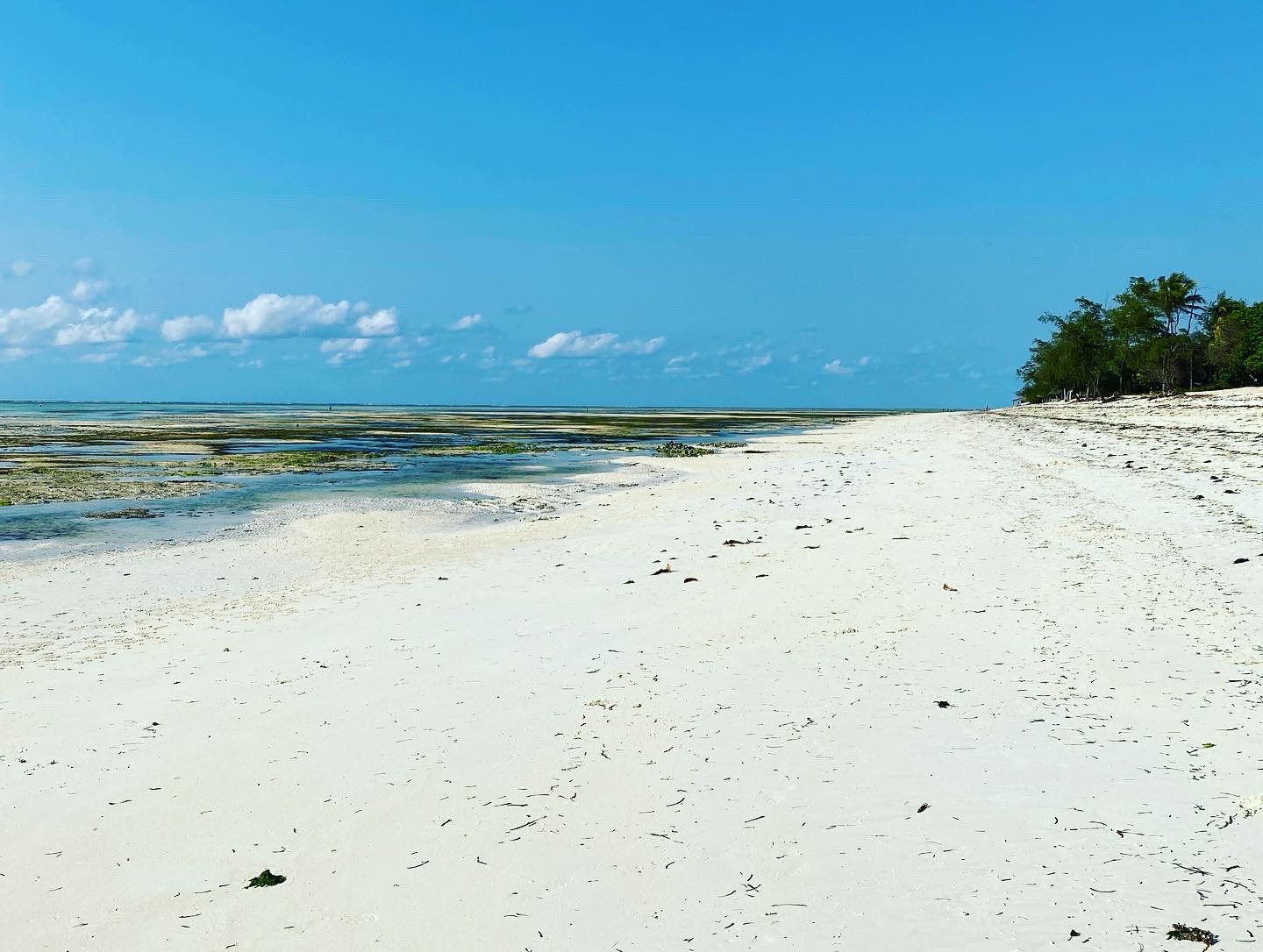 Photo of Makunduchi Beach wild area