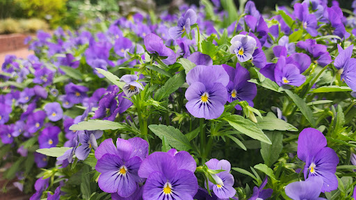 Museum «Smithsonian National Museum of African Art», reviews and photos, 950 Independence Ave SW, Washington, DC 20560, USA