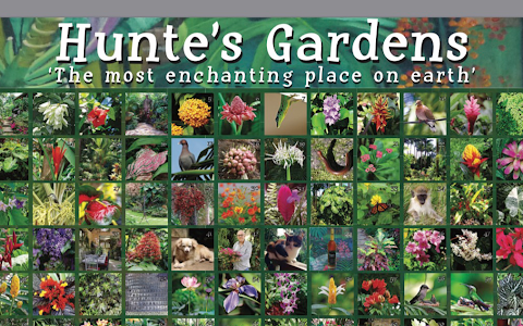 Hunte's Gardens image