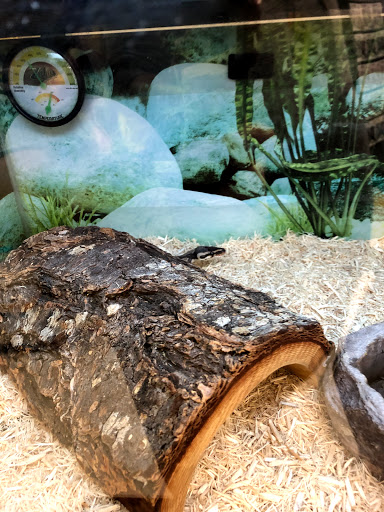 Pet Supply Store «Pet Supplies Plus», reviews and photos, 5092 Mayfield Rd, Lyndhurst, OH 44124, USA