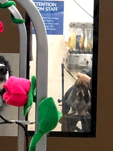 Pet Supply Store «PetSmart», reviews and photos, 240 N Gates Dr, Bloomington, IN 47404, USA