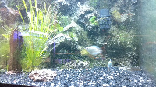 Tropical Fish Store «Seascape Aquatics», reviews and photos, 5038 Academy Blvd N, Colorado Springs, CO 80918, USA