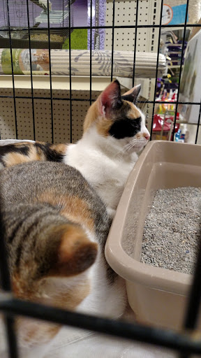 Pet Supply Store «PetSmart», reviews and photos, 3 McKenna Rd, Arden, NC 28704, USA