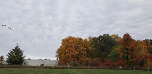 Golf Course «Lyon Oaks Golf Club», reviews and photos, 52251 Pontiac Trail, Wixom, MI 48393, USA