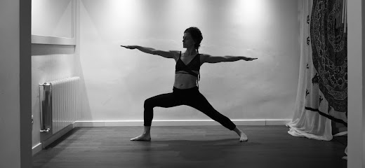 Centro de yoga, Ananda, Yoga Iyengar